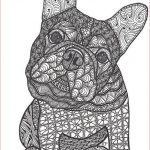 Coloriage Mandala Chien Génial Can We French Bulldog Art Print By Dianne Ferrer