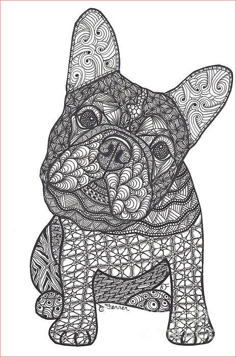 Coloriage Mandala Chien Génial Can We French Bulldog Art Print By Dianne Ferrer
