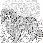 Coloriage Mandala Chien Nice 230 Best Images About Coloriage Mandala Chien On Pinterest