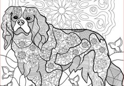 Coloriage Mandala Chien Nice 230 Best Images About Coloriage Mandala Chien On Pinterest