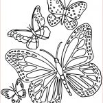Coloriage Papillon Difficile Génial Coloriage Papillon Difficile 6 Dessin Gratuit à Imprimer