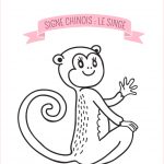 Coloriage De Singe Génial Coloriage Du Calendrier Chinois Le Singe Momes