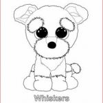 Coloriage Peluche Ty Meilleur De Rocco The Raccoon Ty Beanie Boo Coloriage