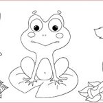 Coloriage De Bébé Animaux Frais Coloriage Pour Enfant Les Animaux – Dinett Illustration