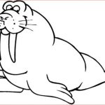 Coloriage Morse Luxe 66 Best Coloriages Animaux Marins Images On