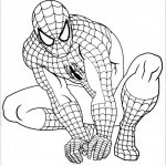 Coloriage Spiderman Facile Génial Coloriage Spiderman Facile Gratuit à Imprimer