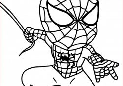 Coloriage Spiderman Facile Nice Coloriage Spiderman Héro Dessin Gratuit à Imprimer
