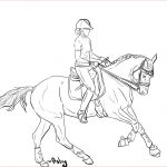 Coloriage Cheval Dressage Nice Lineart