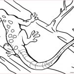 Lézard Coloriage Meilleur De Printable Lizard Coloring Pages for Kids