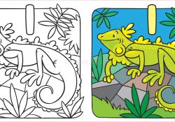 Coloriage Iguane Nice Petit Livre De Coloriage D Iguane Alphabet I Illustration