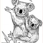 Coloriage Animal Mignon Élégant 77 Dessins De Coloriage Koala à Imprimer Sur Laguerche