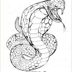 Coloriage Cobra Frais Scary King Cobra Pages Coloring Pages