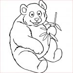 Coloriage Panda À Imprimer Nice Coloriage Pandas à Imprimer Pour Les Enfants Cp