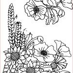 Coloriage Frise Élégant Coloriages Fleurs Et Frises Page 4 Ecologie