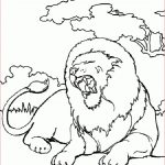 Coloriage Lionceau Élégant Coloriage Lion Lionne Et Lionceau
