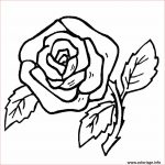Coloriage Fleur Facile Luxe Coloriage Fleur Rose Simple Et Facile Dessin