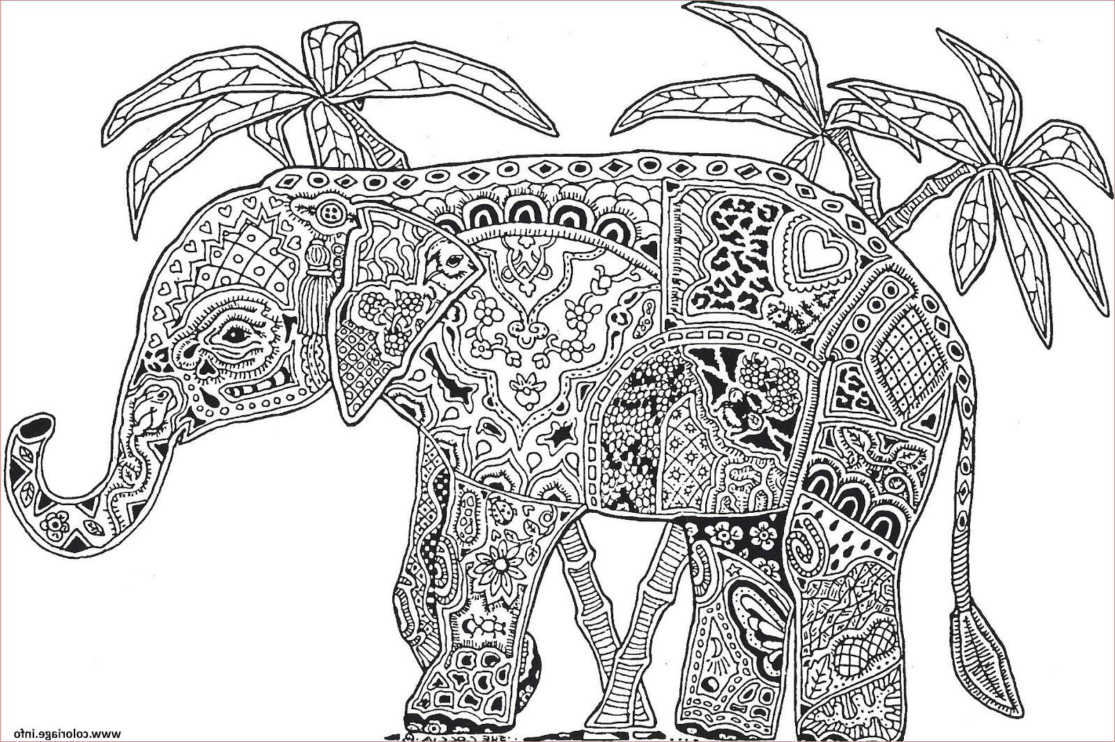 elephant a colorier beau photos coloriage adulte animaux elephant difficile jecolorie