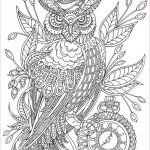 Coloriage Animaux Savane à Imprimer Génial Steampunk Owl Printable Adult Coloring Page From Favoreads E