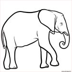 Coloriage Animaux Savane Frais Coloriage Elephant Afrique Australe Dessin Animaux Sauvages à Imprimer