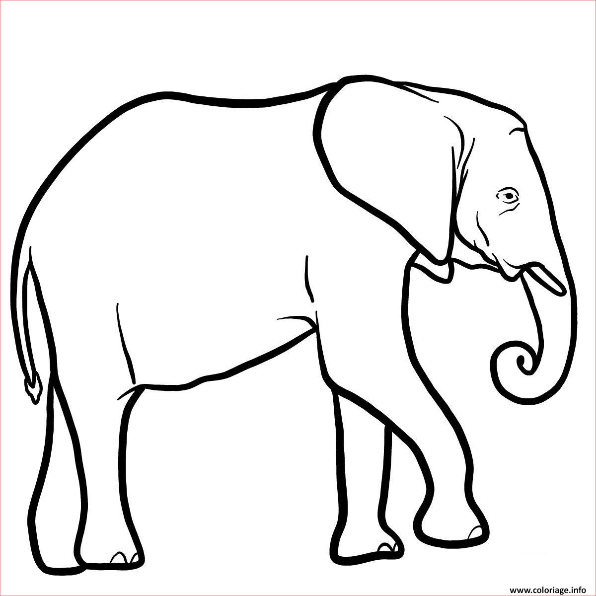 elephant afrique australe coloriage