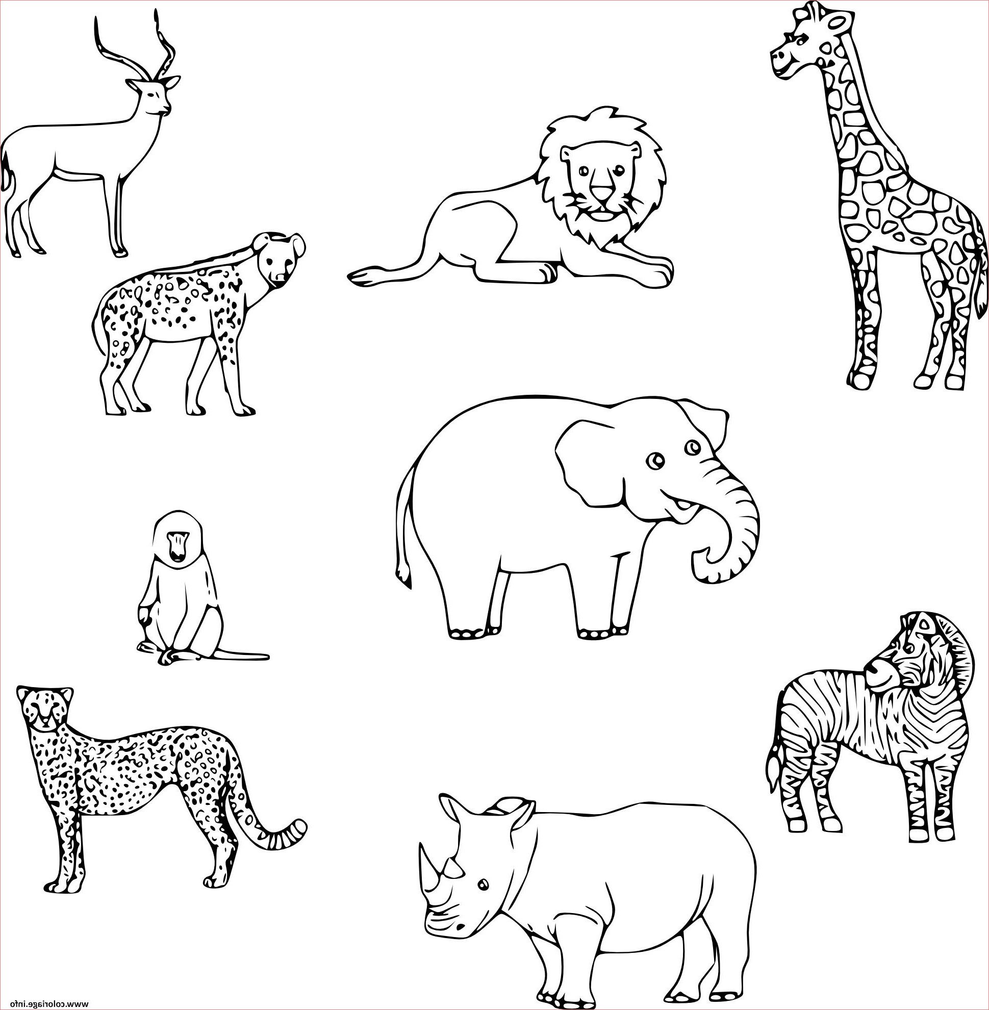 dessin a imprimer animaux impressionnant photos coloriage animaux savane jecolorie