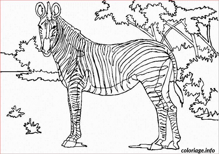 Coloriage Animaux Savane Nice Coloriage Zebre En Savane Dessin Animaux à Imprimer