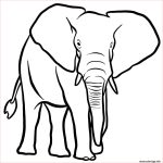 Coloriage Animaux Savane Nouveau Coloriage Elephant De La Savane Africaine Dessin Animaux Sauvages à