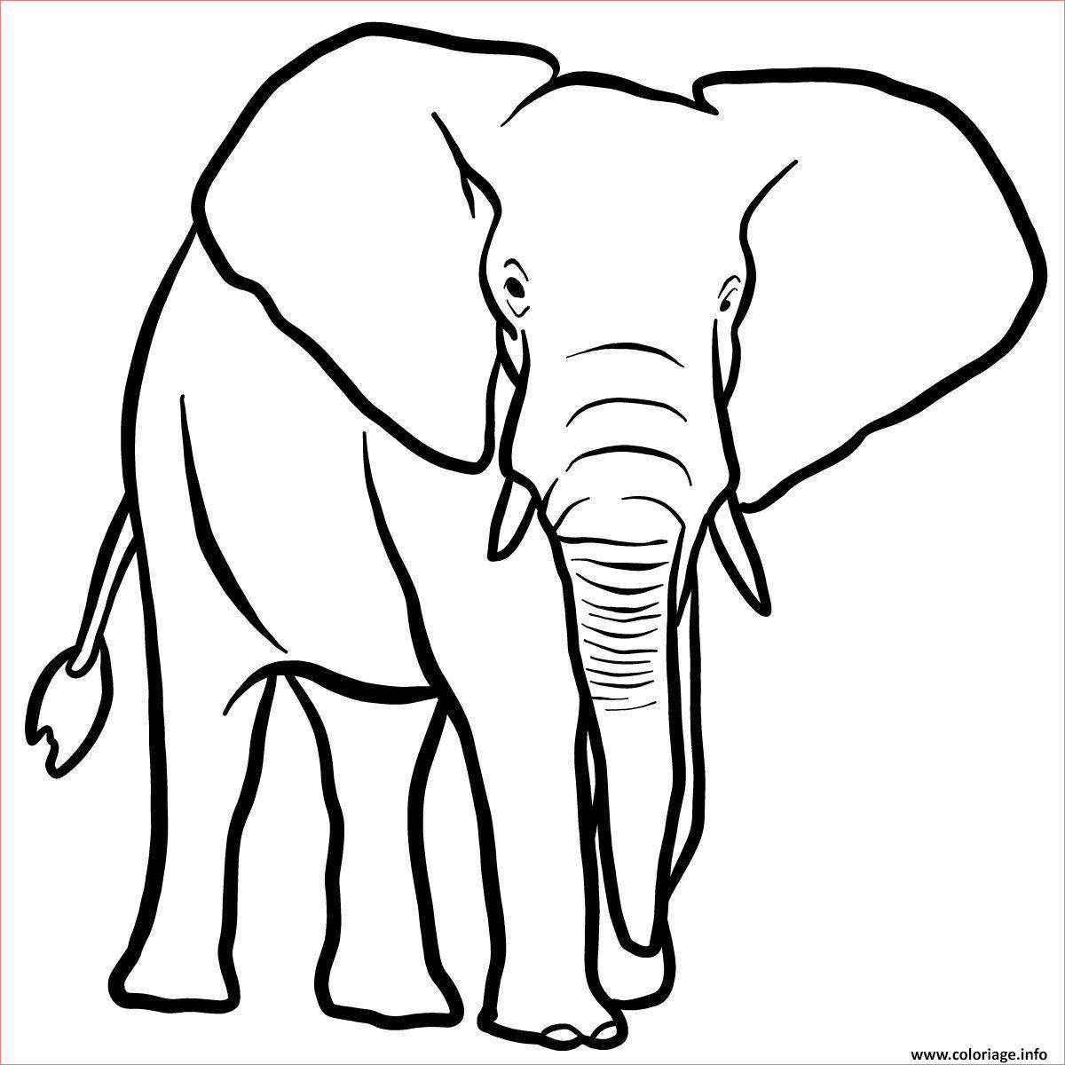 elephant de la savane africaine coloriage