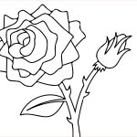 Coloriage De Rosace A Imprimer Unique 57 Dessins De Coloriage Roses à Imprimer Sur Laguerche Page 2
