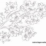 Coloriage Cerisier Luxe Coloriage Cerisier En Fleur Pour Adulte