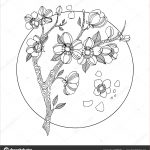 Coloriage Cerisier Meilleur De Illustration Vectorielle D Un Dessin Floral — Image