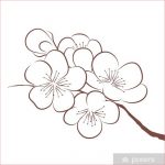 Coloriage Cerisier Meilleur De Papier Peint Printemps Fleur De Cerisier • Pixers Nous