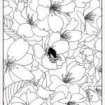 Coloriage Cerisier Nice Adult Cherry Tree By Mizu Coloring Pages Printable