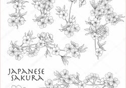 Coloriage Cerisier Nice Ensemble De Fleurs Florales Vectorielles Pour Livre De