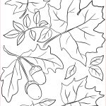 Coloriage D'automne Nice Coloriage Automne Feuilles And Acorns Fall Dessin