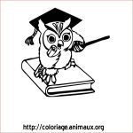 Coloriage Ecoliere Inspiration Chouette Ecoliere Coloriage Chouette Ecoliere Sur Coloriage Animaux