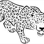 Jaguar Coloriage Génial Coloriage Jaguar Et Dessin à Imprimer