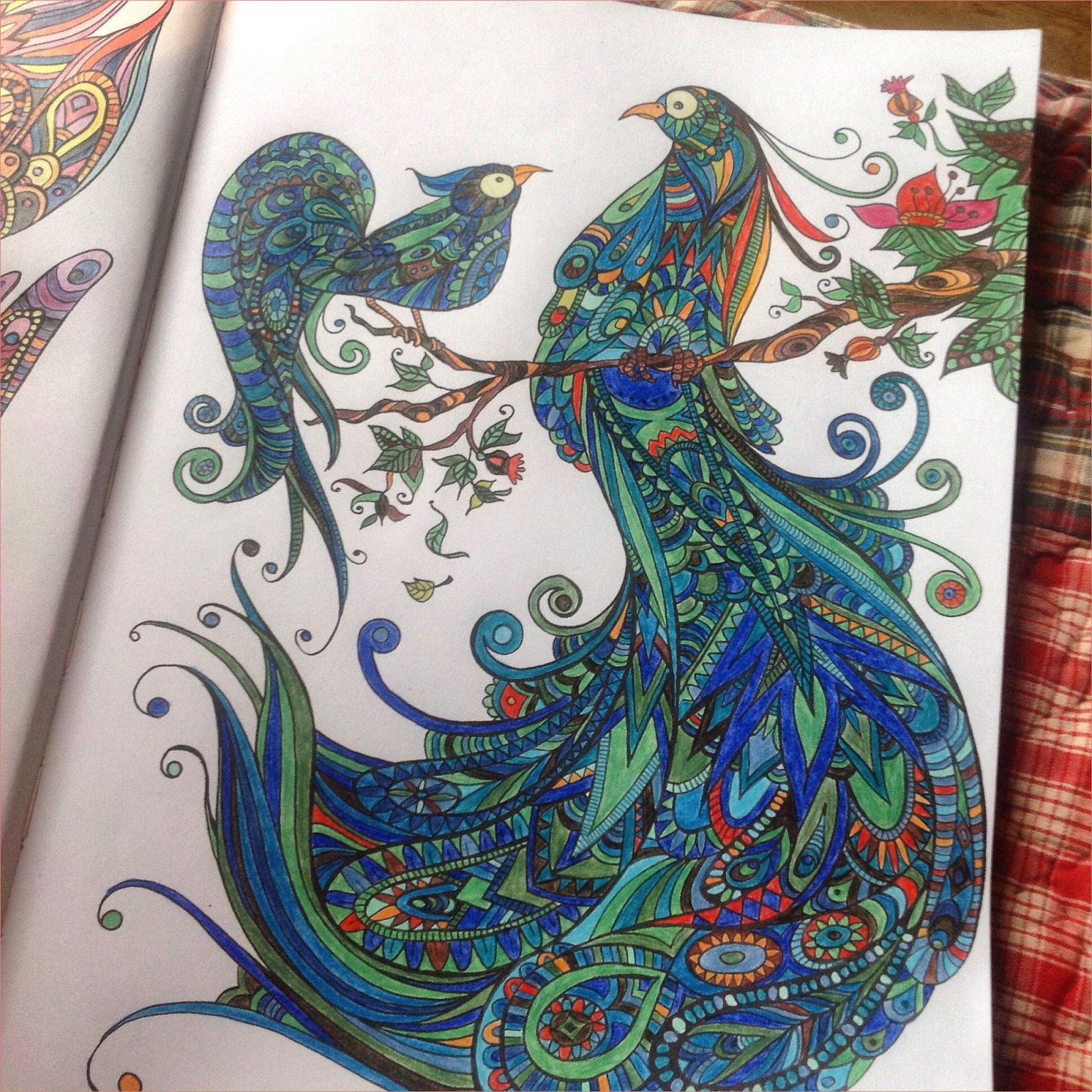Coloriage Anti Stress Jardin Extraordinaire Nice Pin by Miranda Nathan Bordina Greene On Coloring Pages
