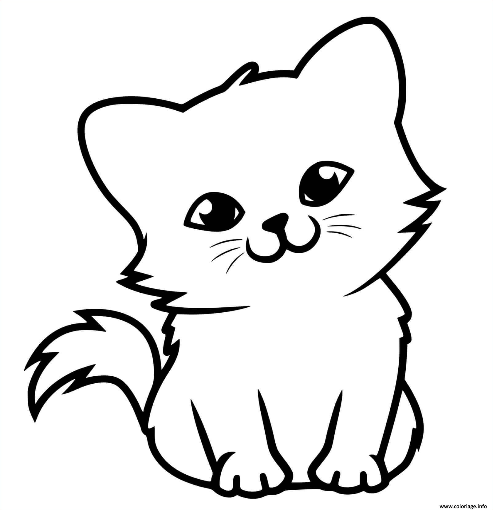 adorable petit chaton coloriage