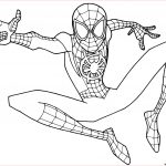 Coloriage Spiderman Homecoming Frais Coloriage Young Spider Man Dessin