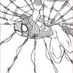Coloriage Spiderman Homecoming Luxe Coloriage Spiderman 11 Momes