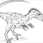 Coloriage Indoraptor Nice Coloriage Spinosaurus Telechargez Ou Imprimez Gratuitement