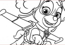 Coloriage Pat Patrouille Tracker Luxe Coloriage Pat Patrouille Tracker Nouveau S Coloriage